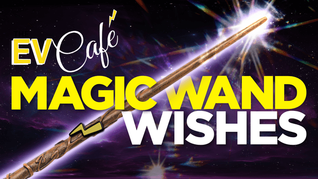 Every Magic Wand Wish of 2025