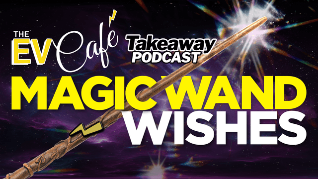 Every Magic Wand Wish of 2025